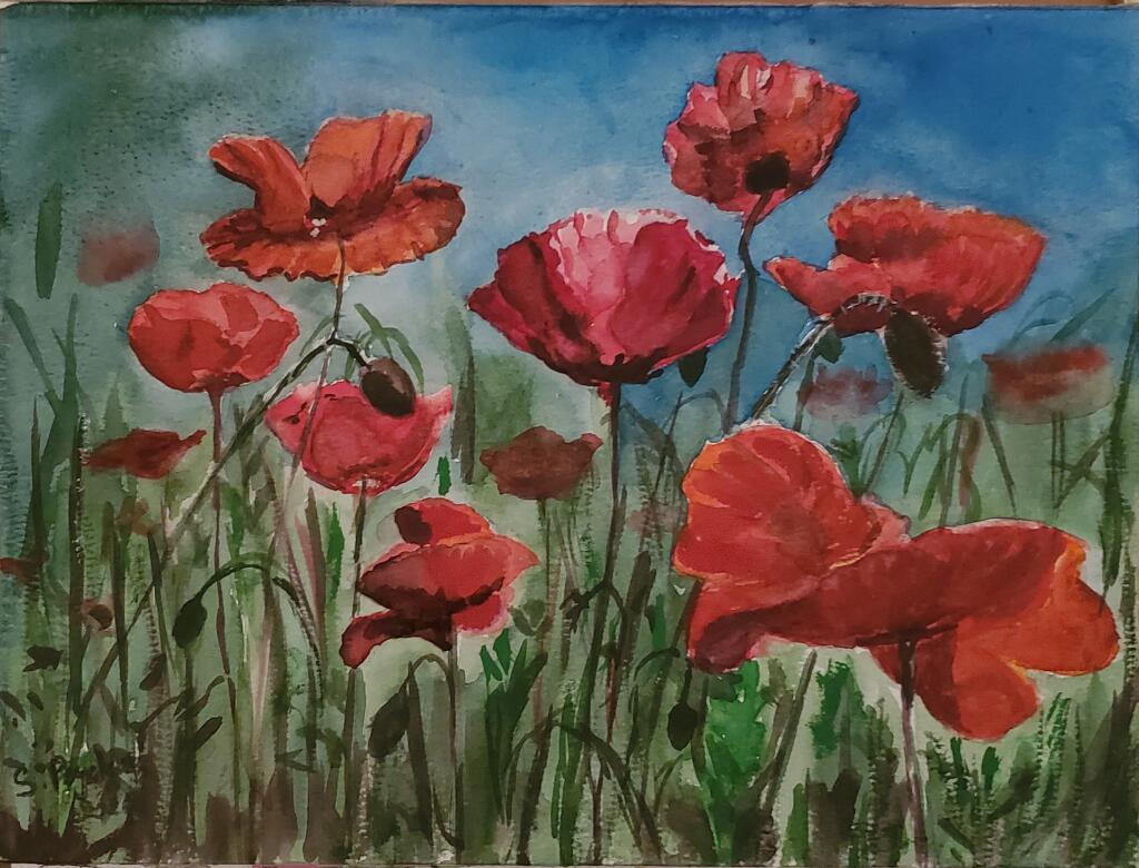 Poppies by Sofia Peycheva